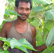 Janak Sahu: From Subsistence to Cash Crop Farming
